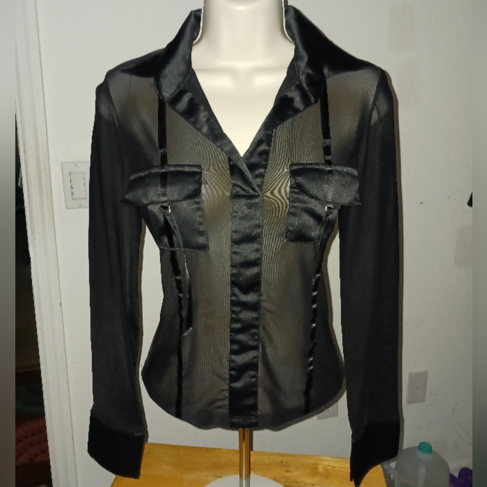 Elegant Sheer Blouse